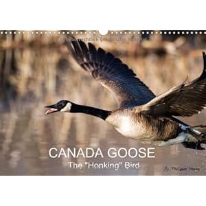 Canada Goose Buy Online