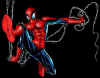 spidey_002.jpg (16946 byte)