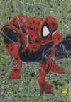 spidey_003.jpg (35413 byte)