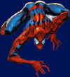 spidey_004.jpg (24146 byte)