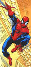 spidey_005.jpg (23414 byte)
