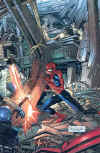 spidey_013.jpg (38285 byte)