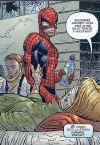 spidey_015.jpg (47271 byte)