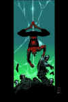 spidey_019.jpg (37140 byte)