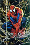 spidey_021.jpg (90410 byte)