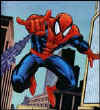 spidey_023.jpg (18493 byte)