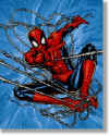spidey_025.jpg (43545 byte)