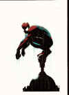 spidey_027.jpg (38599 byte)