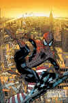 spidey_030.jpg (96154 byte)