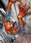 spidey_033.jpg (56364 byte)
