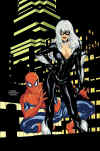 spidey_034.jpg (60077 byte)