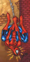 spidey_047.jpg (23847 byte)