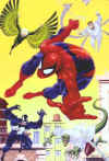 spidey_054.jpg (29873 byte)