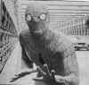 spidey_064-telefilm.jpg (10462 byte)