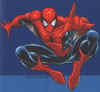 spidey_083.jpg (23017 byte)